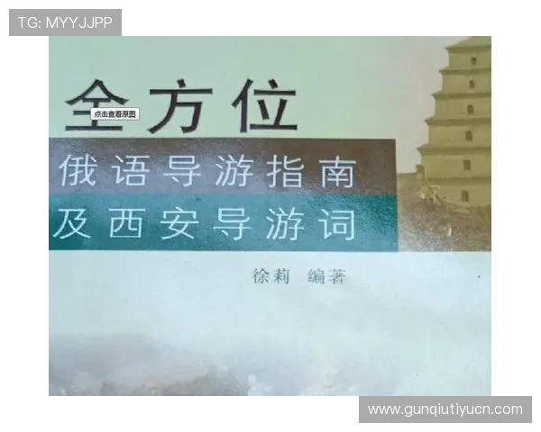世界杯日本VS瑞典比赛门票预售时间及购票技巧全方位指南